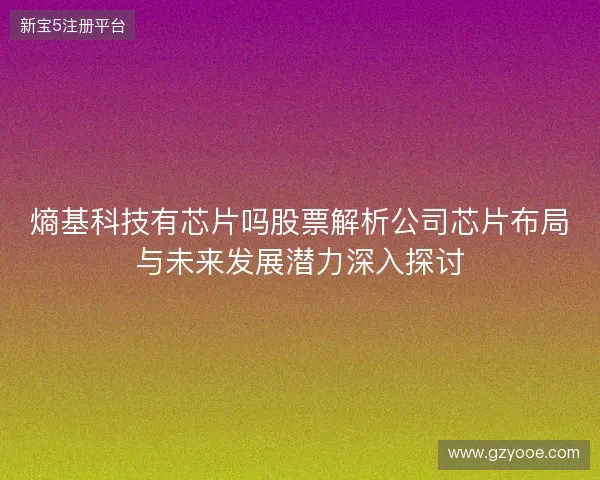 熵基科技有芯片吗股票解析公司芯片布局与未来发展潜力深入探讨